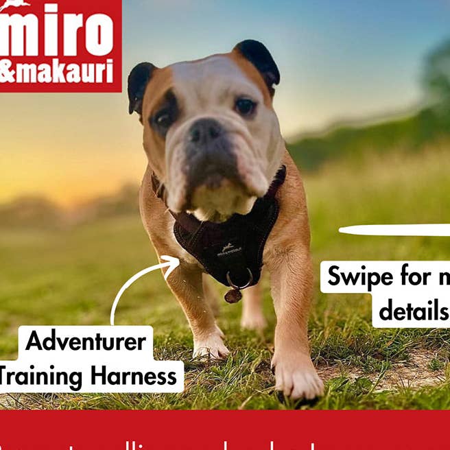 Miro & Makauri – wholesale Pet harness – Dog – Dog Training Harness - the Miro & Makauri 'Adventurer' Harness7