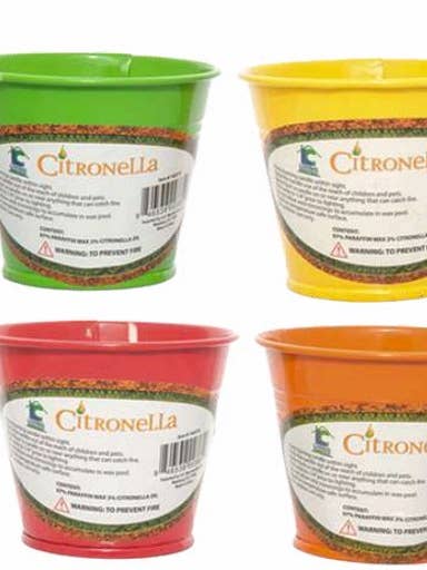 Vela de citronela 3" Balde Asst Colors por atacado de Living Concepts