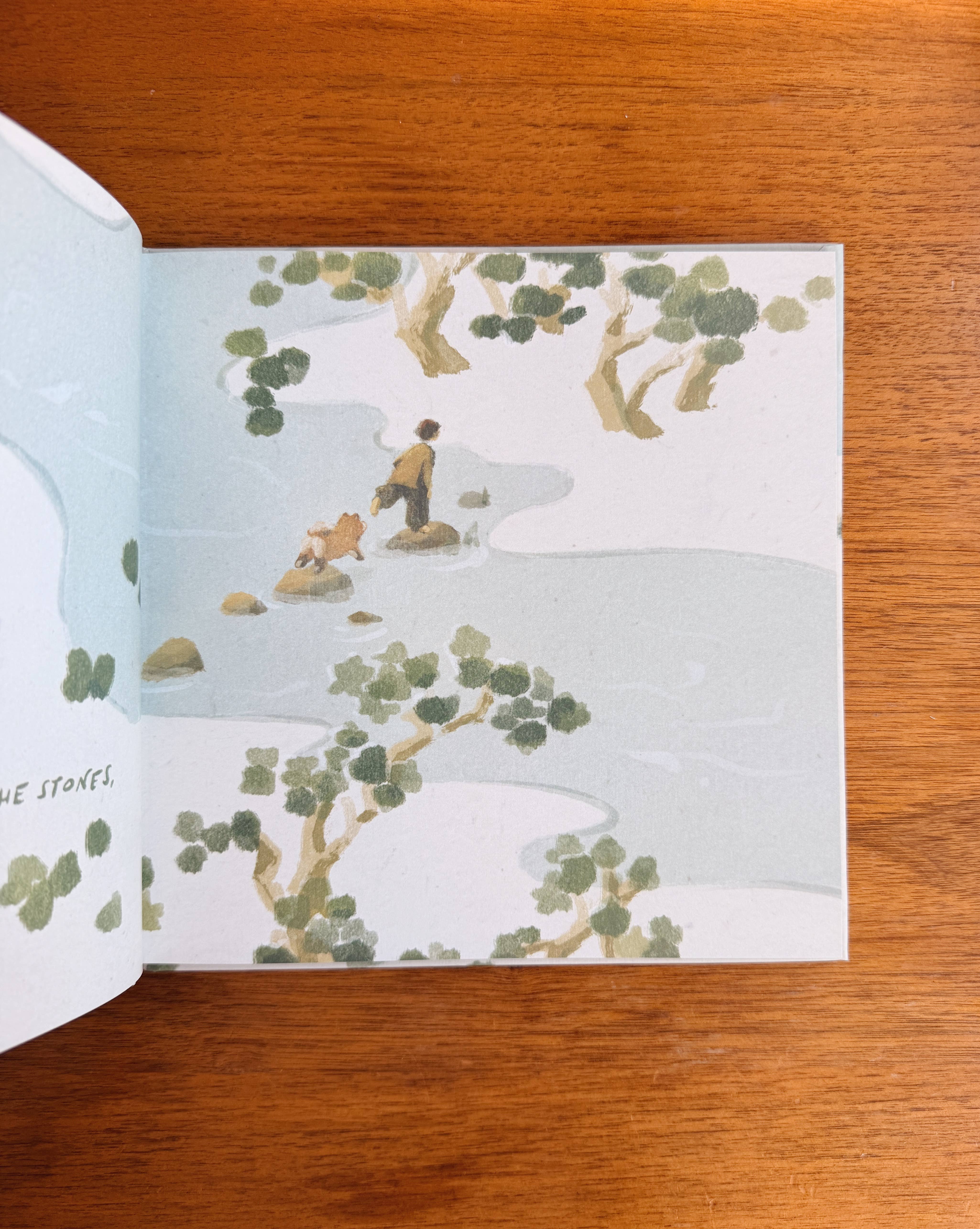 Mimochai – wholesale Pre-school book (3–5) – Treasure Everywhere Book PRE-ORDER ✨ 1