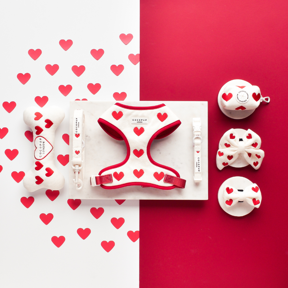 Cocopup London - Wholesale Pet Harness - Dog - Hugs & Knitted Adjustable Neck Harness1