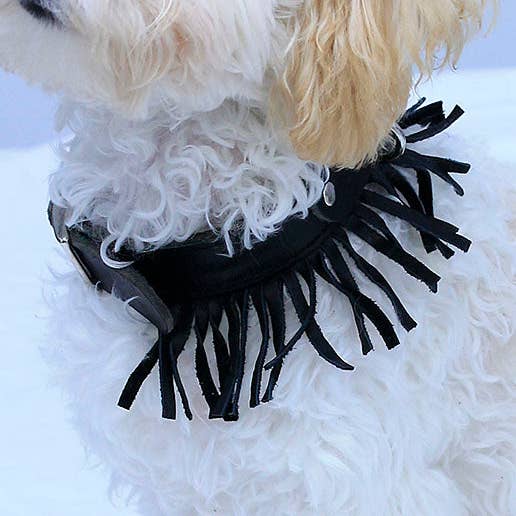 Leather Dog Collar with Fringe #DC24030FK for wholesale by JAMIN LEATHER