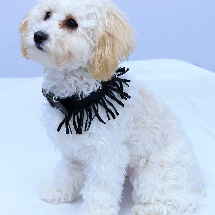 Collier pour chien en cuir avec franges #DC24030FK pour la vente par JAMIN LEATHER