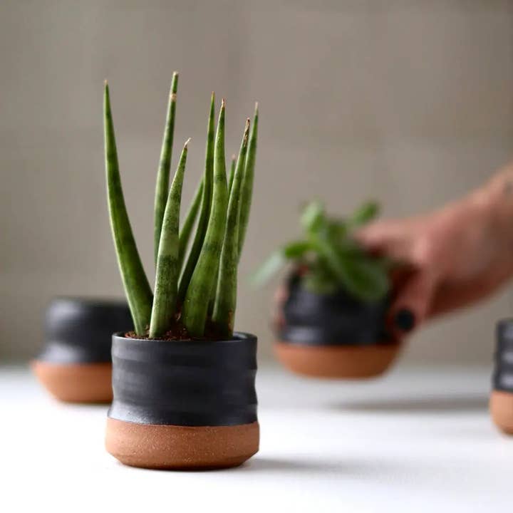 Gravesco Pottery – wholesale Kruka – Blandade små planteringskrukor | 2 tum handgjord keramik