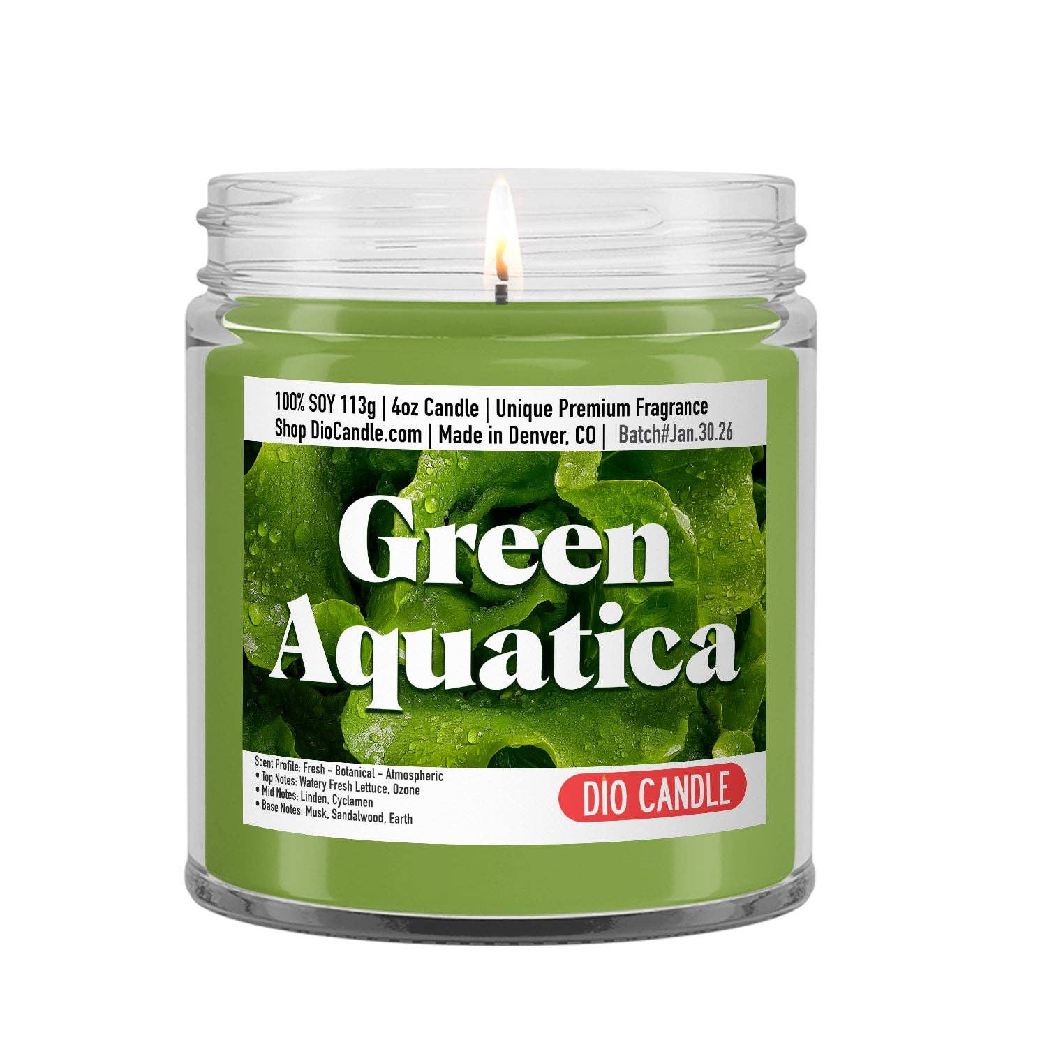 Dio Candle Company - Wholesale Jar/Filled Candle - Green Aquatica Candle1