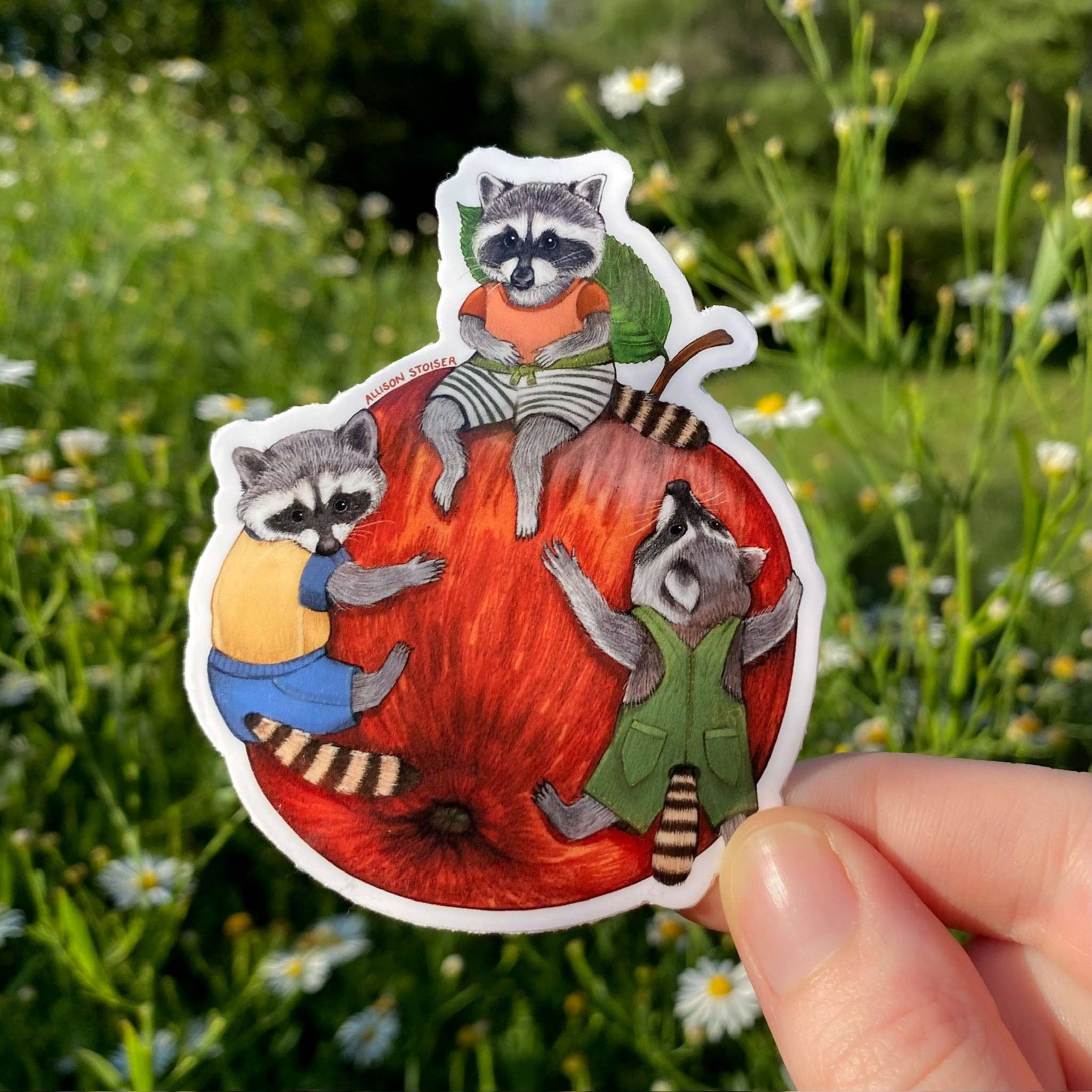 Allison Stoiser Art - Wholesale Sticker - Apple Rascal Raccoons Weatherproof Vinyl Sticker0