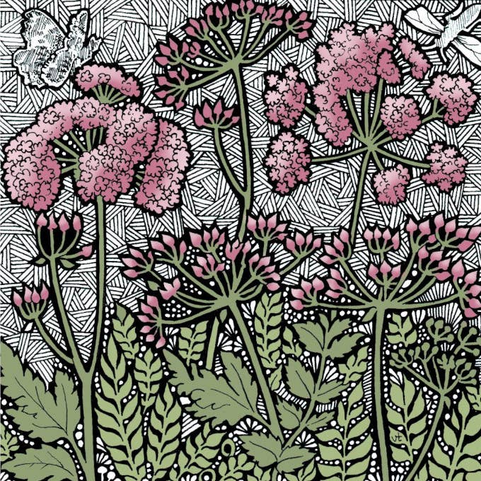 Wild Parsley for wholesale by Alff a Bet Design