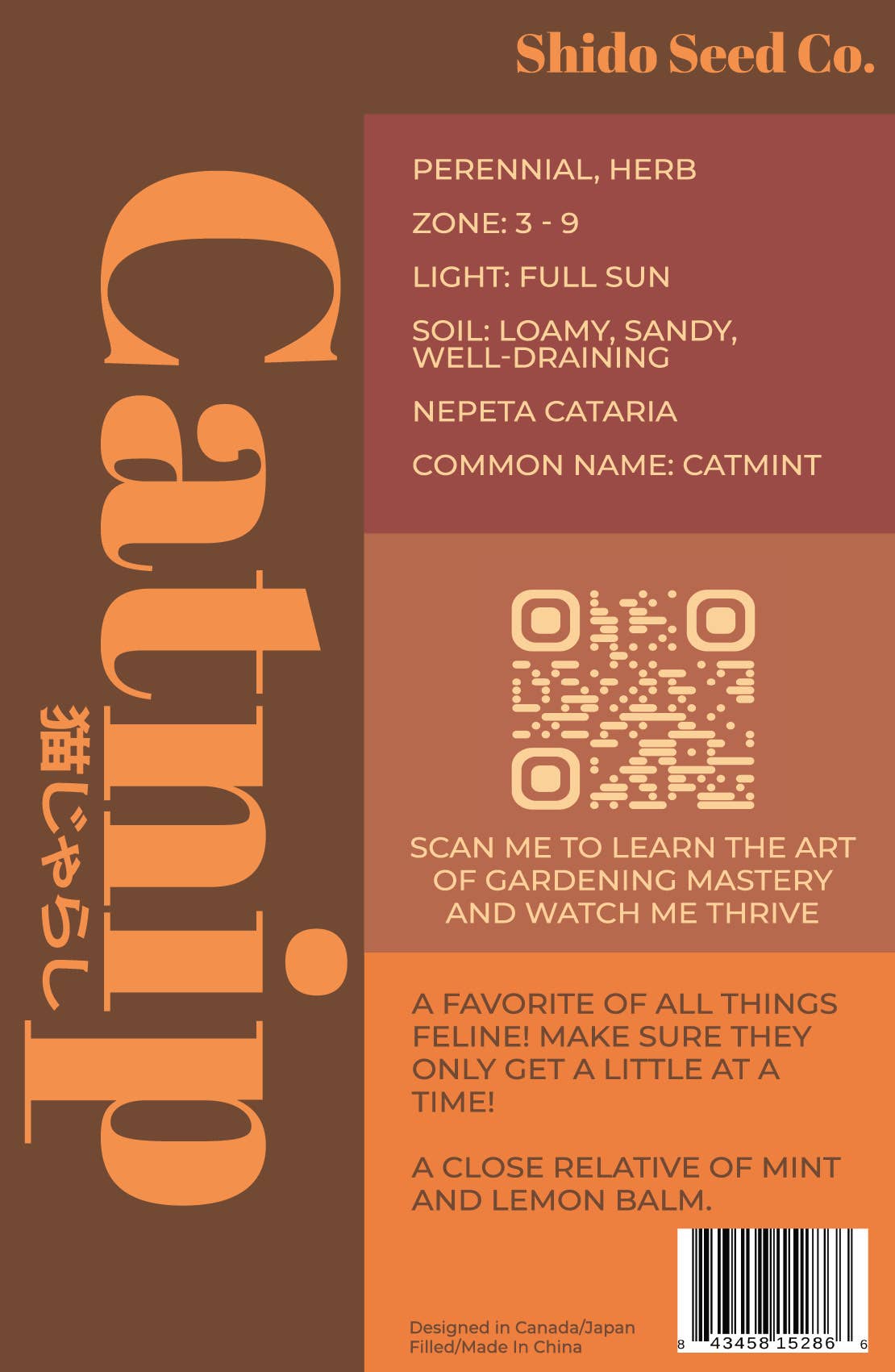 Chive UK – wholesale Plant seeds – Funky Seeds Packets - 48 Assorted13