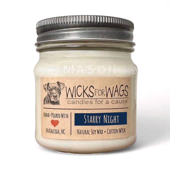 Nuit étoilée | Bougie en pot Mason en cire de soja pour la vente par Wicks for Wags