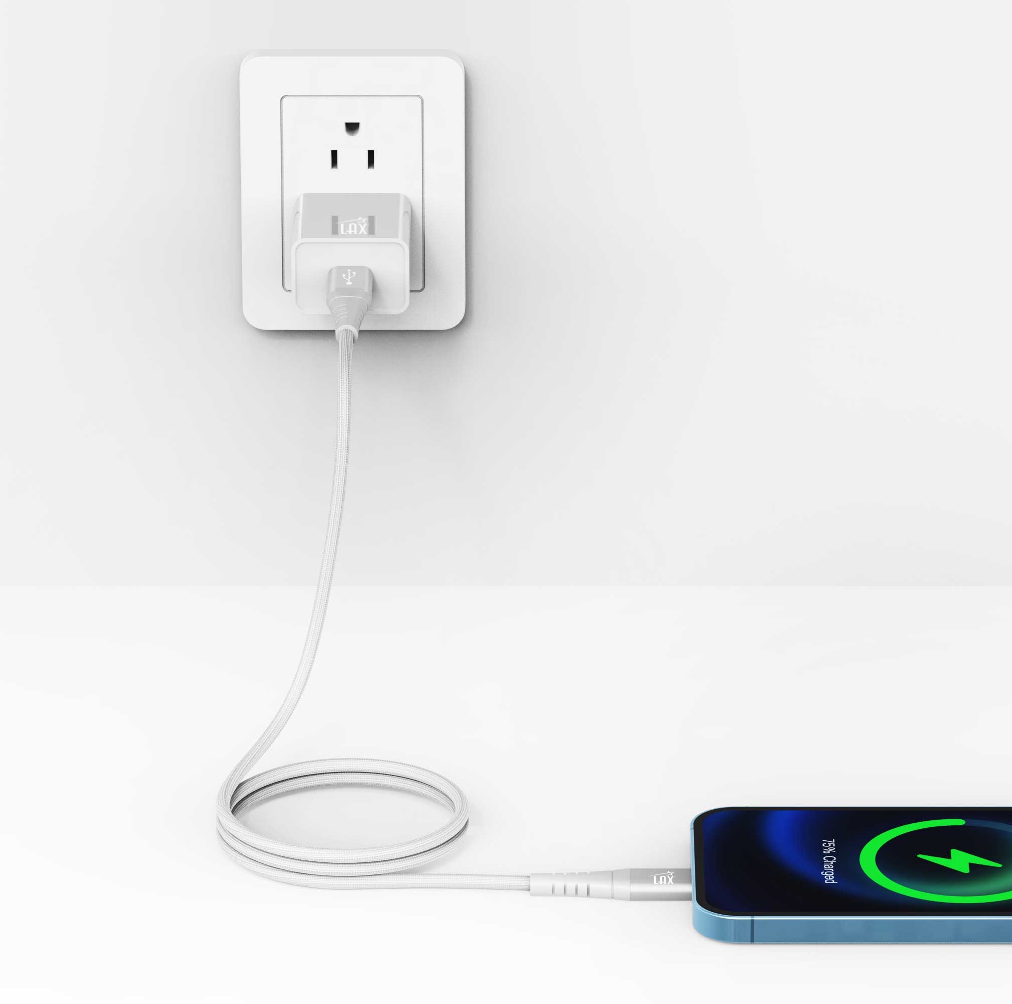 LAX Gadgets - Vendita all'ingrosso Cavo di ricarica - Cavo iPhone a USB Tipo C ad Alta Velocità - Confezione al Dettaglio10