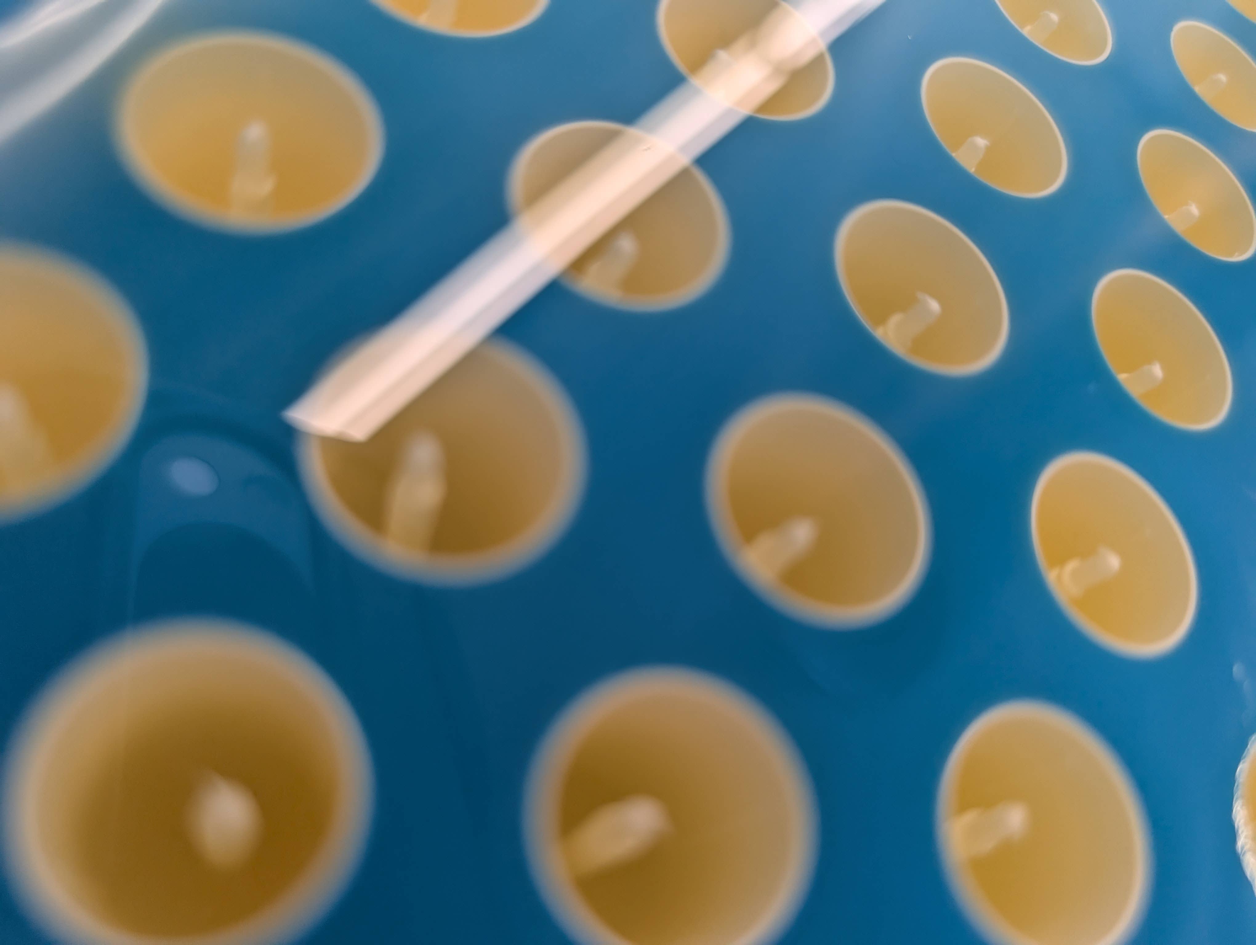 Rick's Pecker Palace, LLC - Wholesale Lip Balm - Tallow Lip Balm2