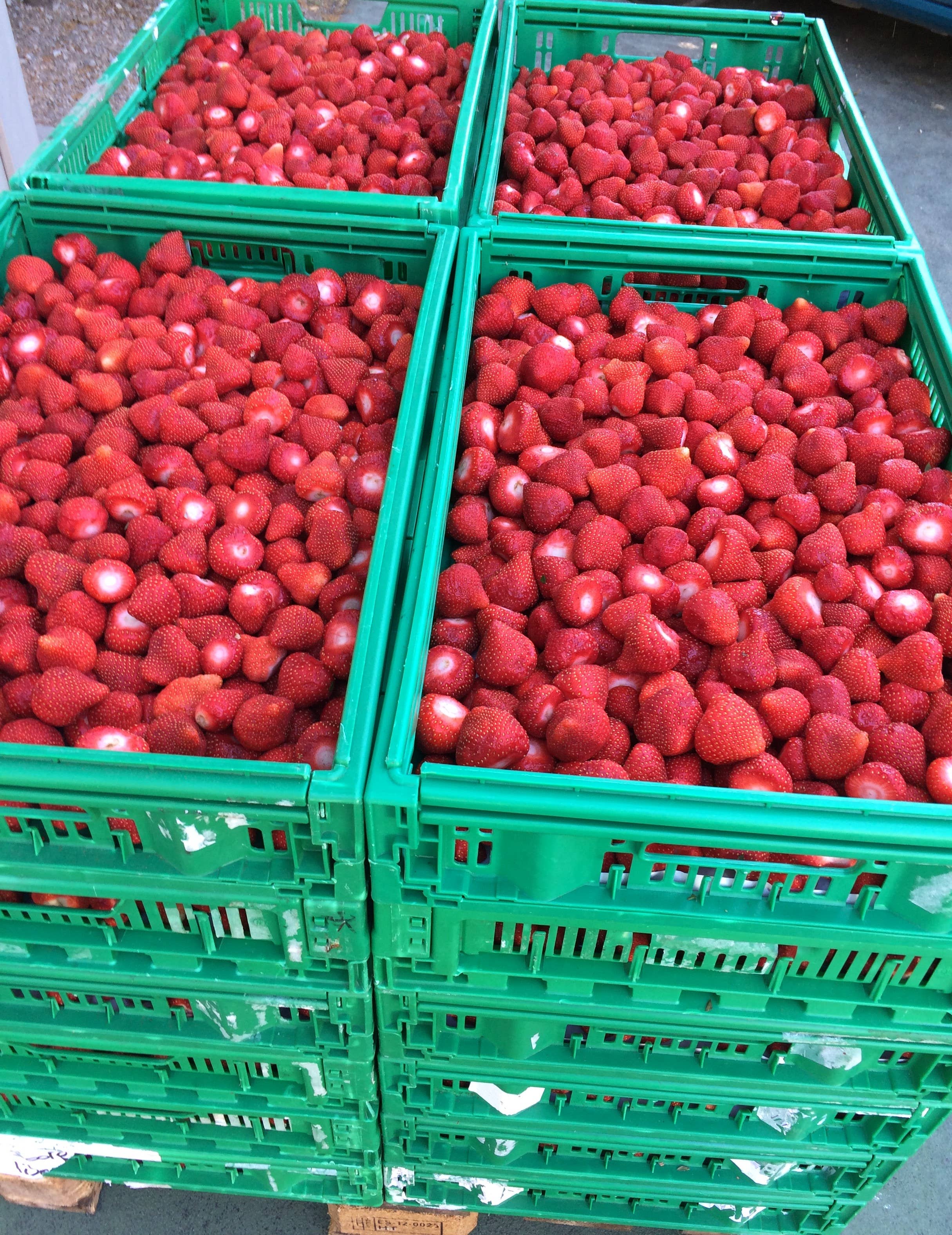 CONSERVES GUINTRAND - Wholesale Jam/Jelly - Carpentras strawberry compote PG 327 ml - low sugar2