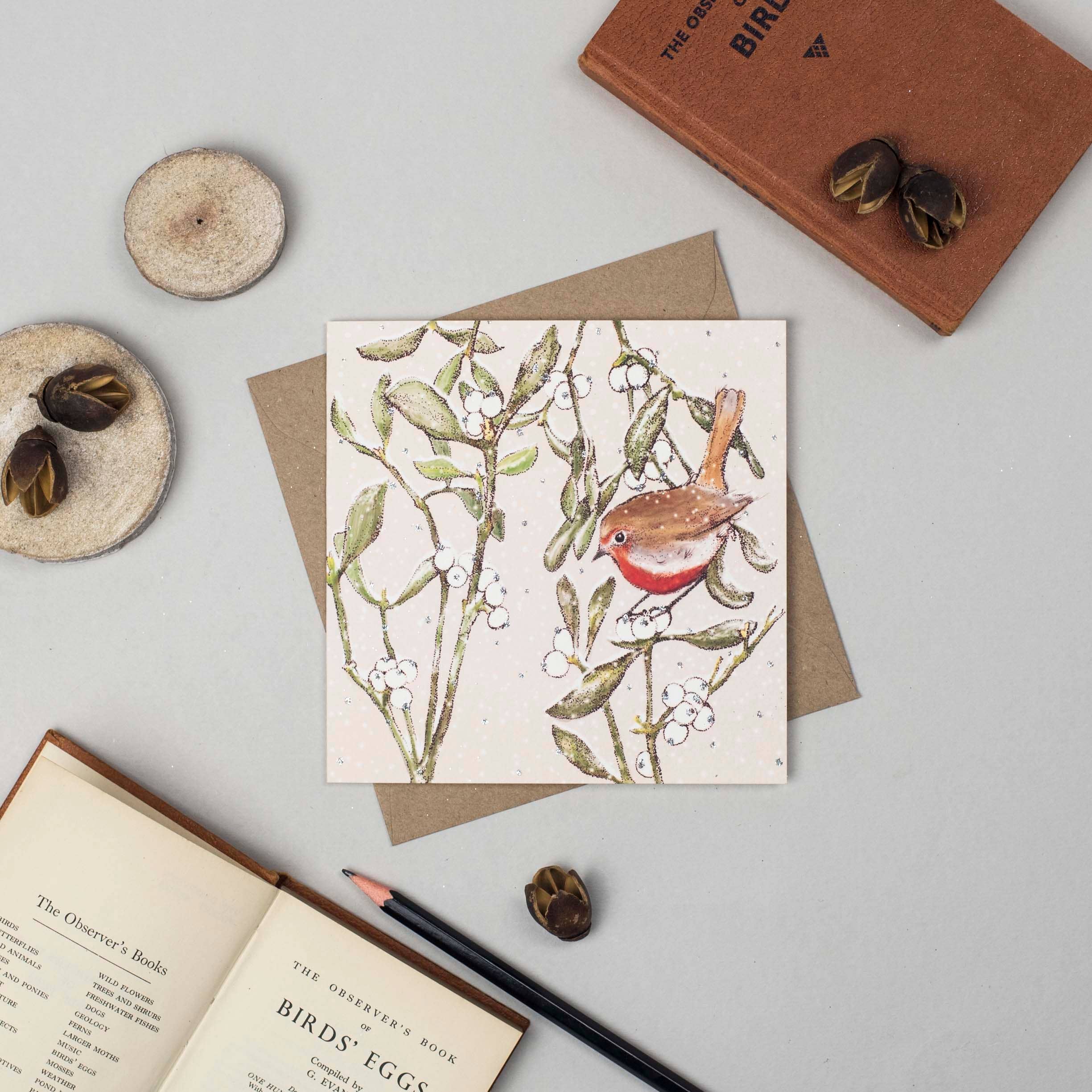 Fay's Studio - Wholesale Everyday Greeting Card - Robin & Mistletoe Greeting Card1