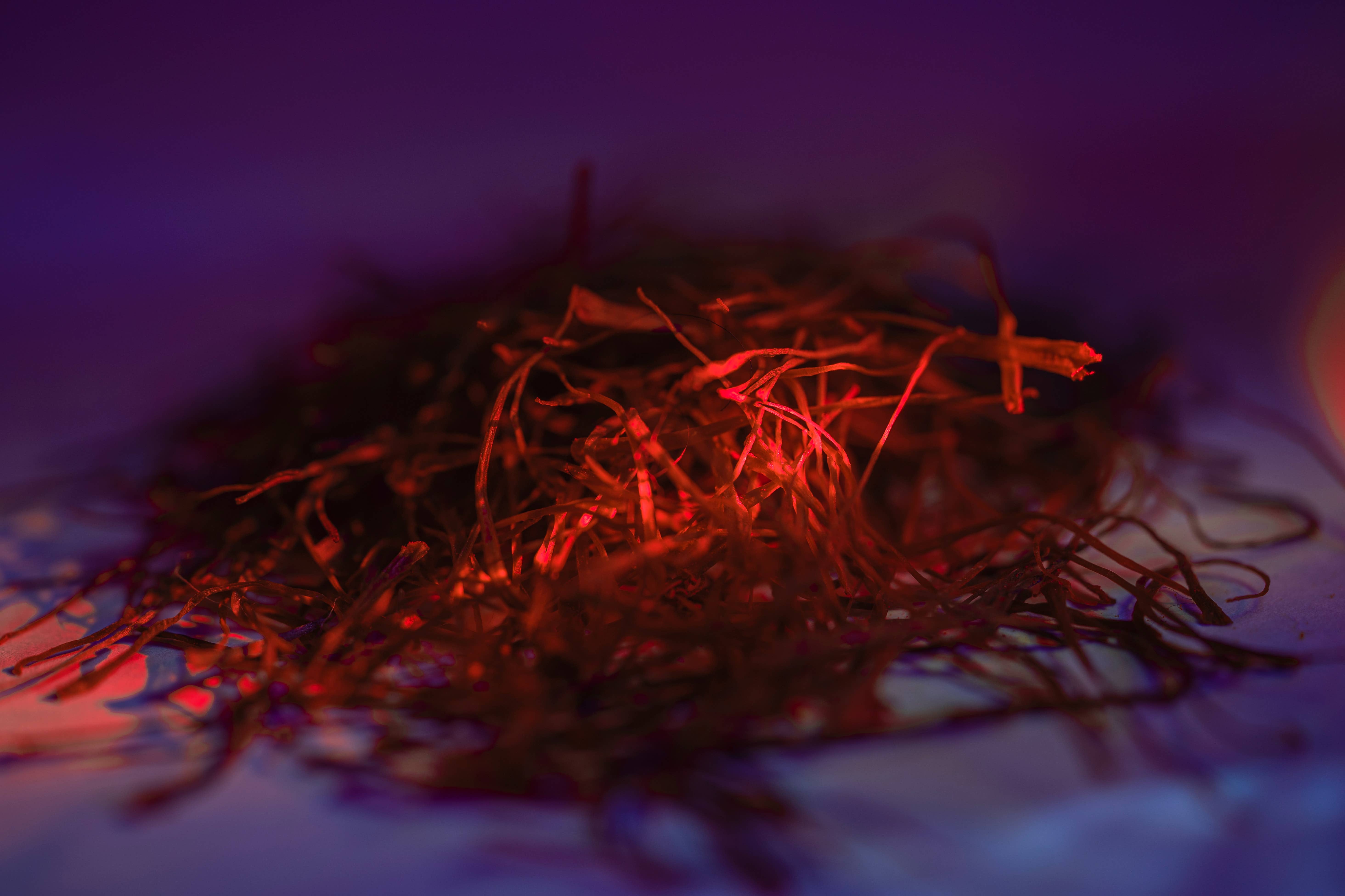 Certified Saffron - Vendita all'ingrosso Spezie essiccate - Fili di Zafferano Super Negin Premium, Grado A+ 10 grammi6