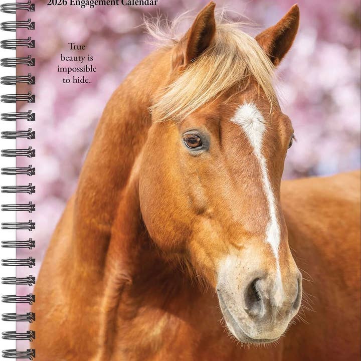 What Horses Teach Us 2026 6.5" x 8.5" Engagement Calendar for wholesale by Willow Creek Press & Gifts