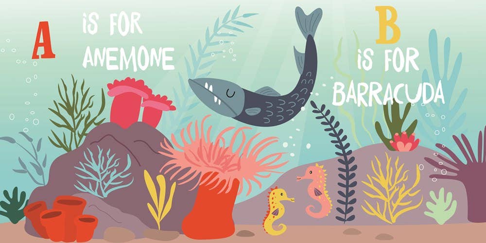 Familius, LLC - Wholesale Preschool Book (3-5) - O is for Ocean1