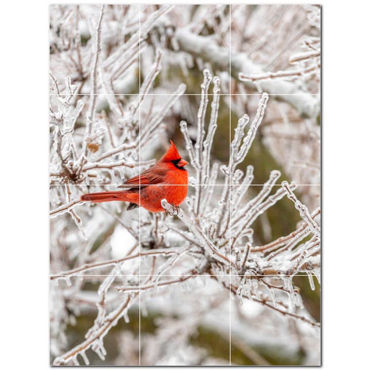 Bird Ceramic Tile Ceramic Tile Mural PT500154 for wholesale by Picture-Tiles.com