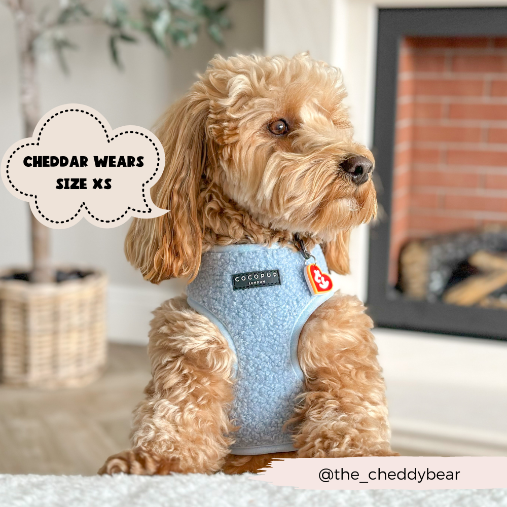 Cocopup London – wholesale Pet harness – Dog – Teddy Daydream Adjustable Neck Harness7
