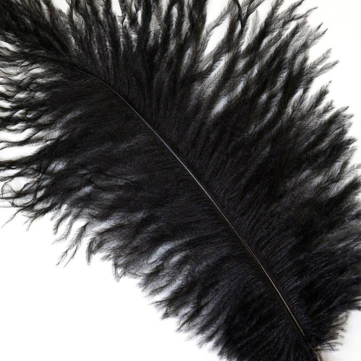Ostrich Feathers 9-12" Drabs - Black for wholesale by Zucker Feather Products