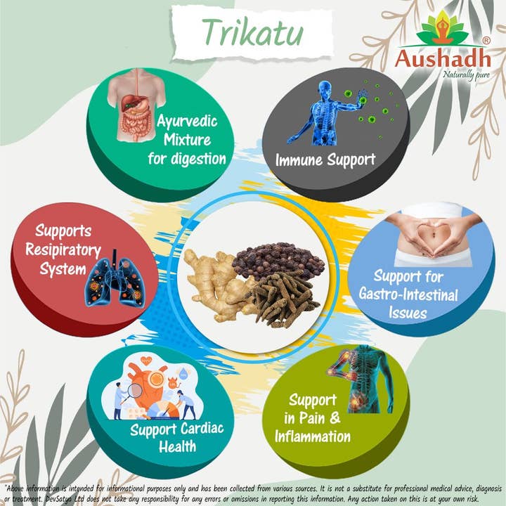 DevSatya Ltd Aushadh, Ayushya, Divyaherb - Wholesale Protein/Superfood Powder - Trikatu Powder3