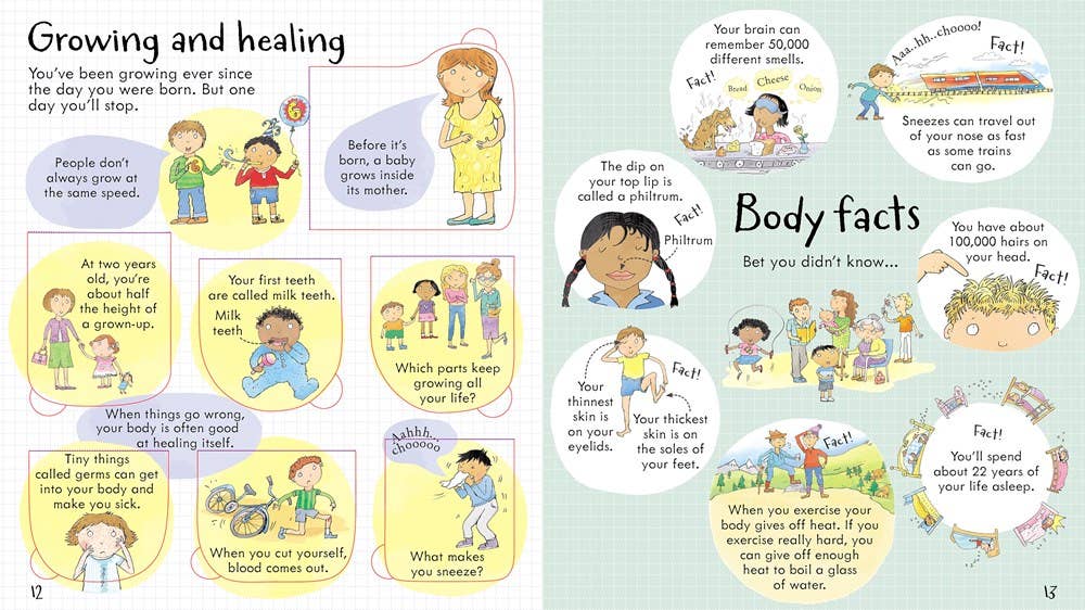 HarperCollins - Wholesale Preschool Book (3-5) - Look Inside Your Body2