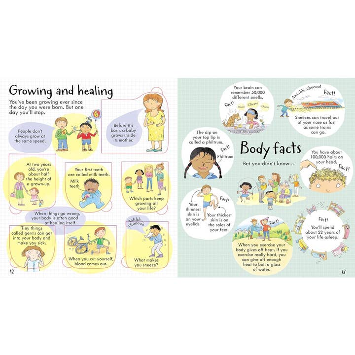 HarperCollins - Wholesale Preschool Book (3-5) - Look Inside Your Body2