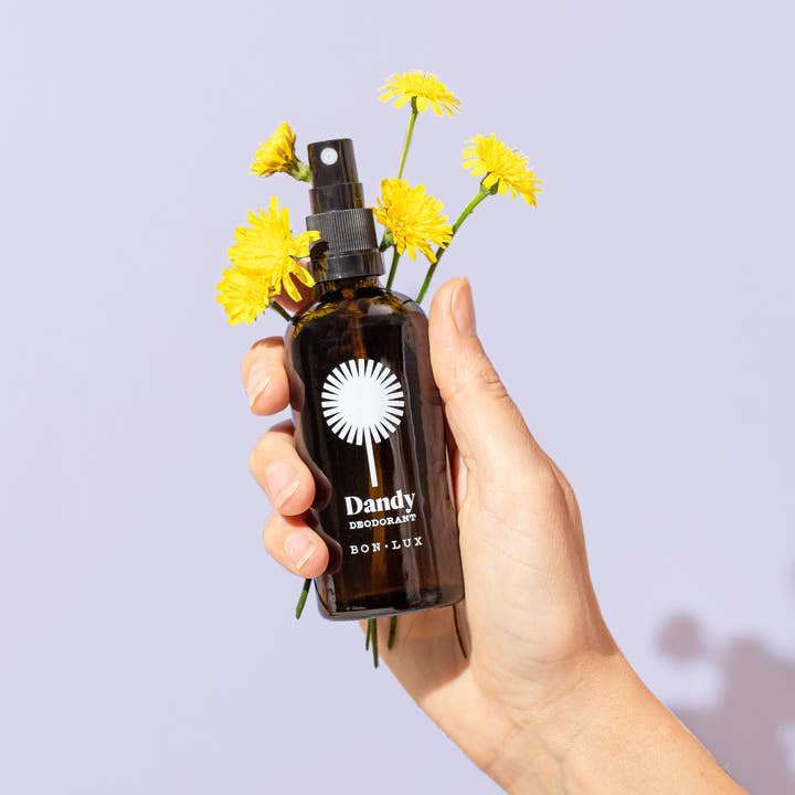 Dandy Deodorant Fresh new look + scent for wholesale by bon lux