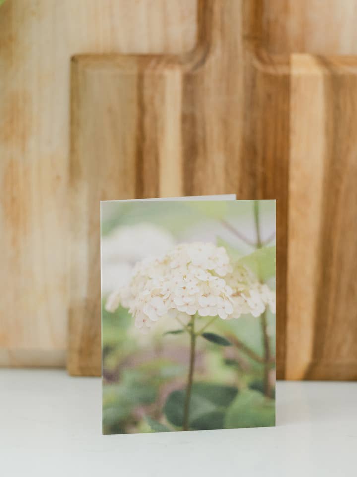 Hortênsia Branca - Cartão de Notas de Belas Artes por atacado de Ashley Cadrin Local Imagery