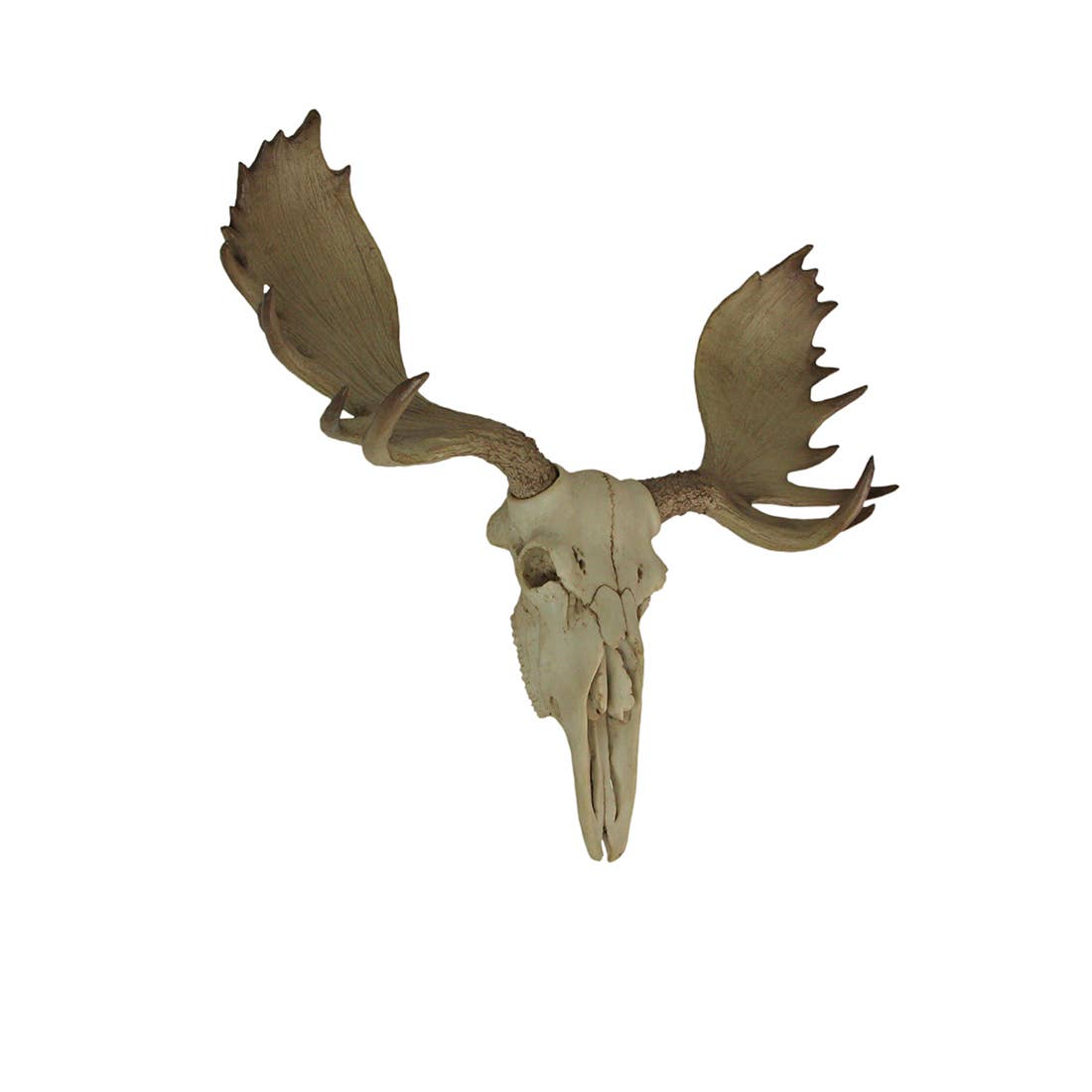 Zeckos - Wholesale Wall Accent - Large Lifelike Bull Moose Skull Hanging Wildlife Statue1