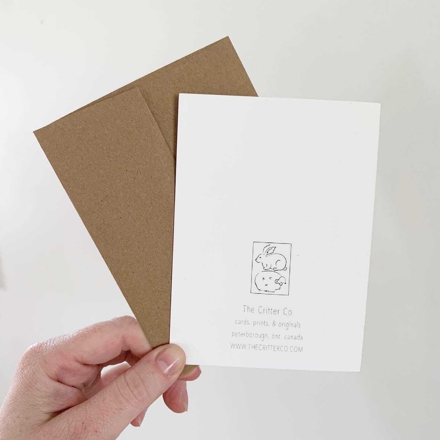 The Critter Co. - Wholesale Birthday Card - Raccoon Birthday Card1