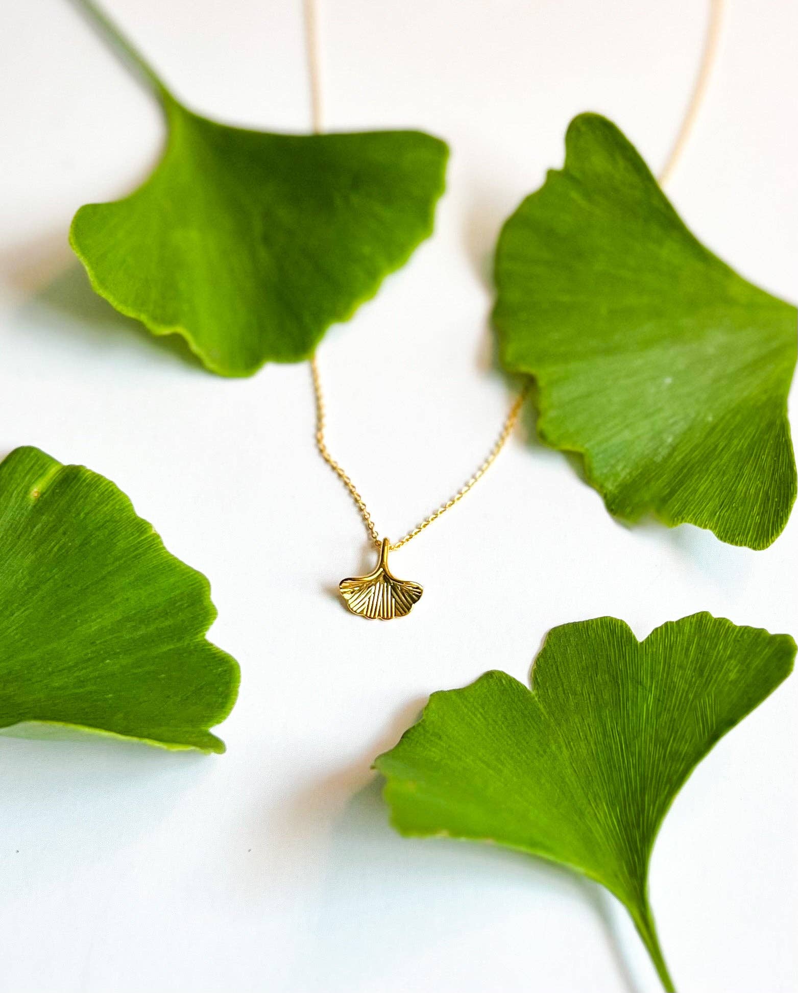 Natalie Clare Collections - Wholesale Pendant/Charm Necklace - Gold Ginkgo Leaf Necklace