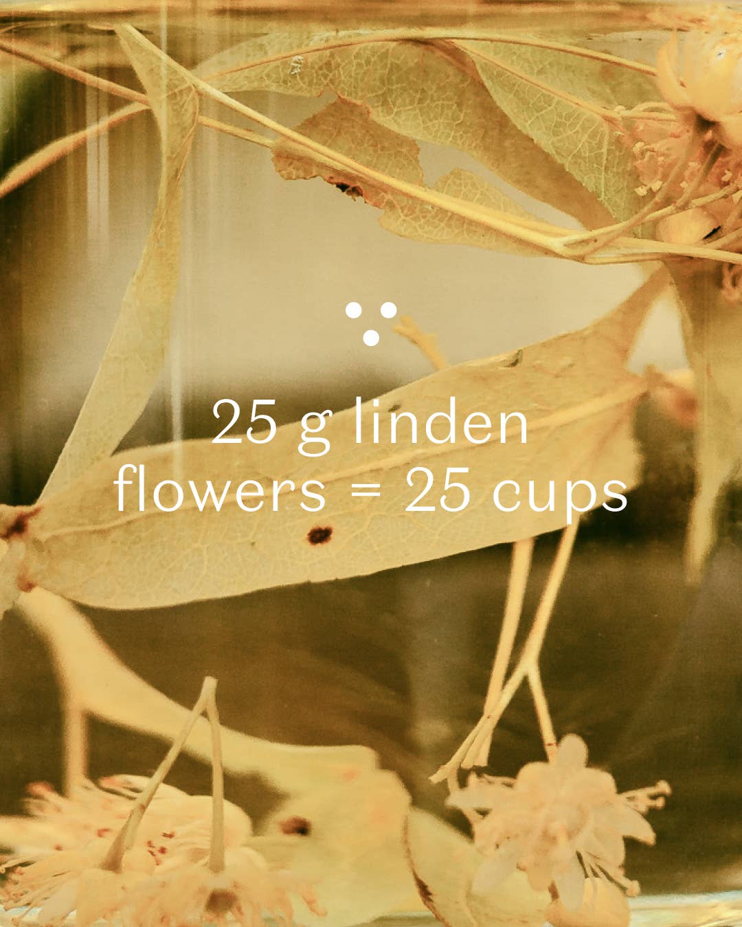 Plūkt - Wholesale Health/Detox Tea - Linden Tea - honey tea, certified organic Nordic herbal tea3