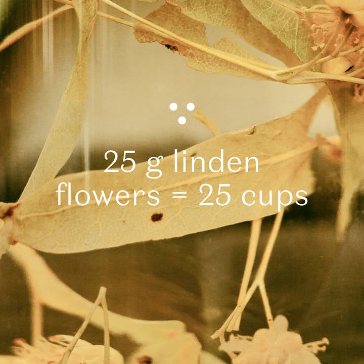 Plūkt - Wholesale Health/Detox Tea - Linden Tea - honey tea, certified organic Nordic herbal tea3