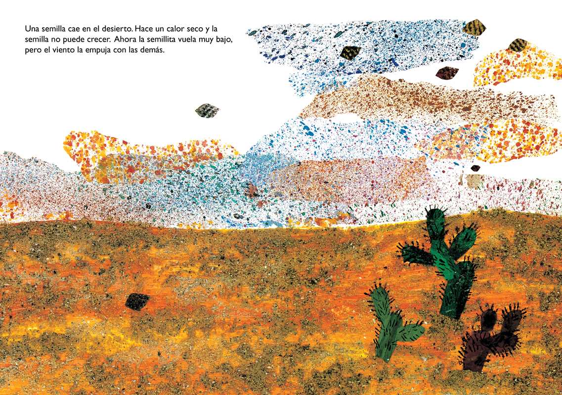Simon & Schuster - Wholesale Preschool Book (3-5) - La semillita (The Tiny Seed) by Eric   Carle5
