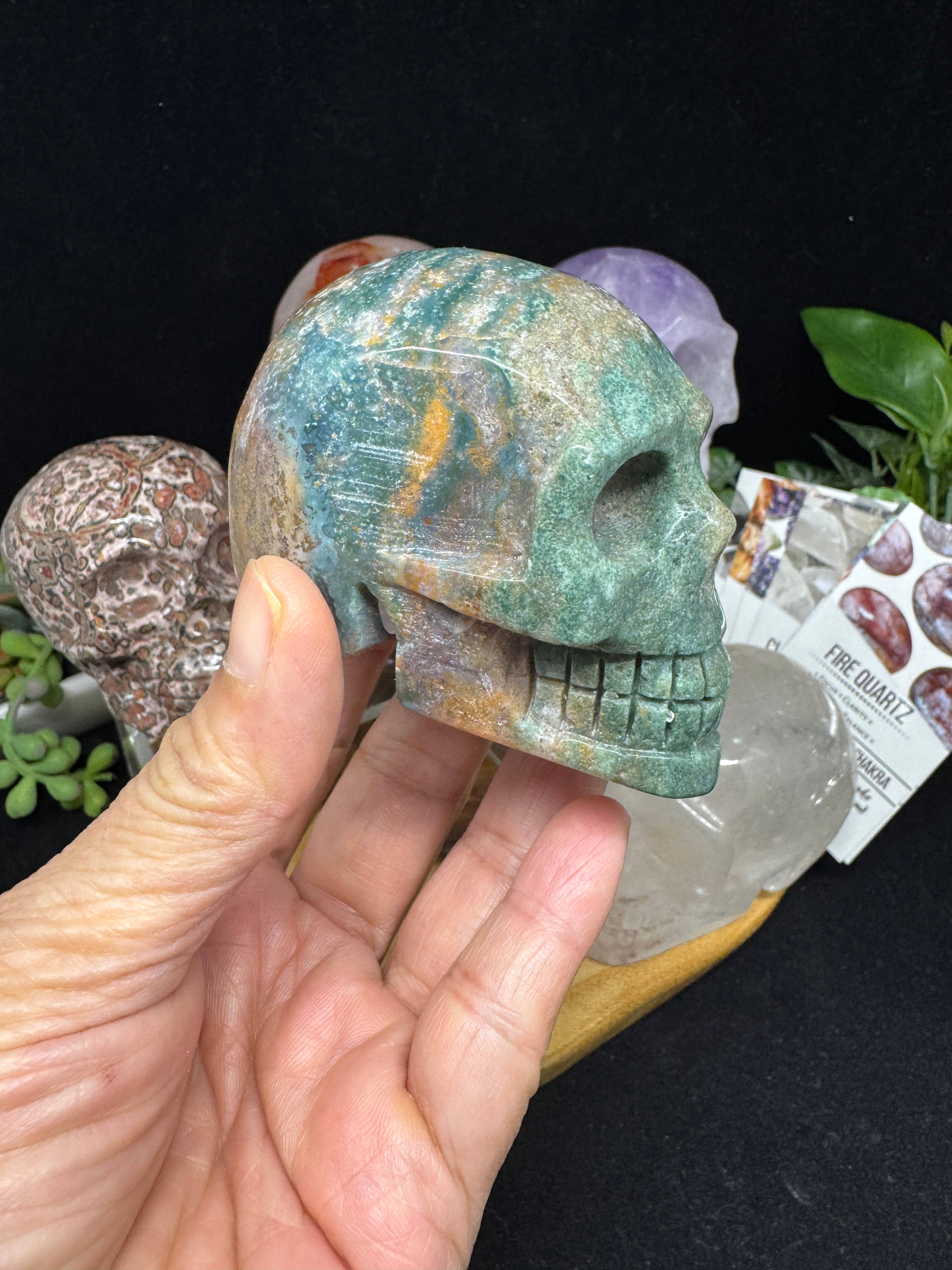 The 7 Directions - Wholesale Spiritual Stone/Crystal - 6 pc Ocean Jasper Leopardite fire quartz skull bundle G8053