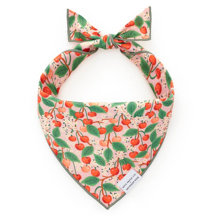 The Foggy Dog - Wholesale Pet Bandana - Dog - Rifle Paper Co. x TFD Cherry Blossom Spring Dog Bandana