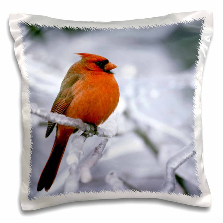 3dRose, Québec. Cardinal rouge mâle, tempête de verglas-CN10 BJA0019 - Galerie Janyes, Taie d'oreiller pour la vente par 3dRose