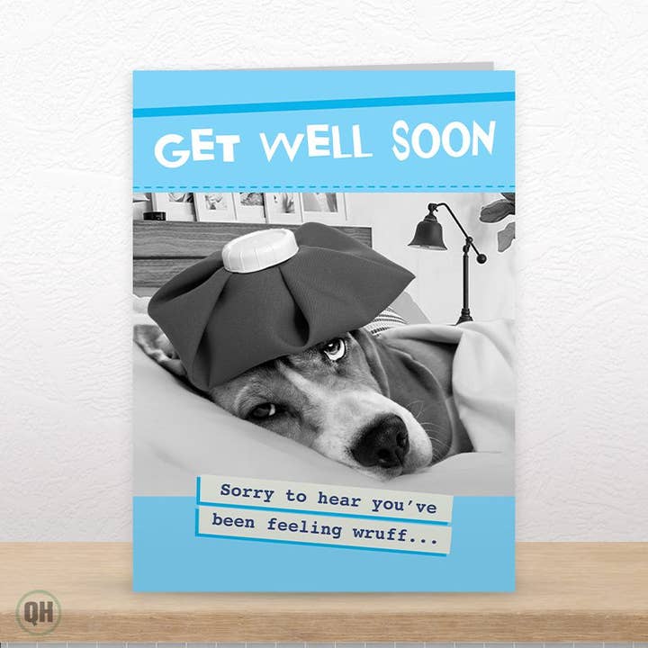 Sjovt hund god bedring kort for engroshandel hos Quitting Hollywood