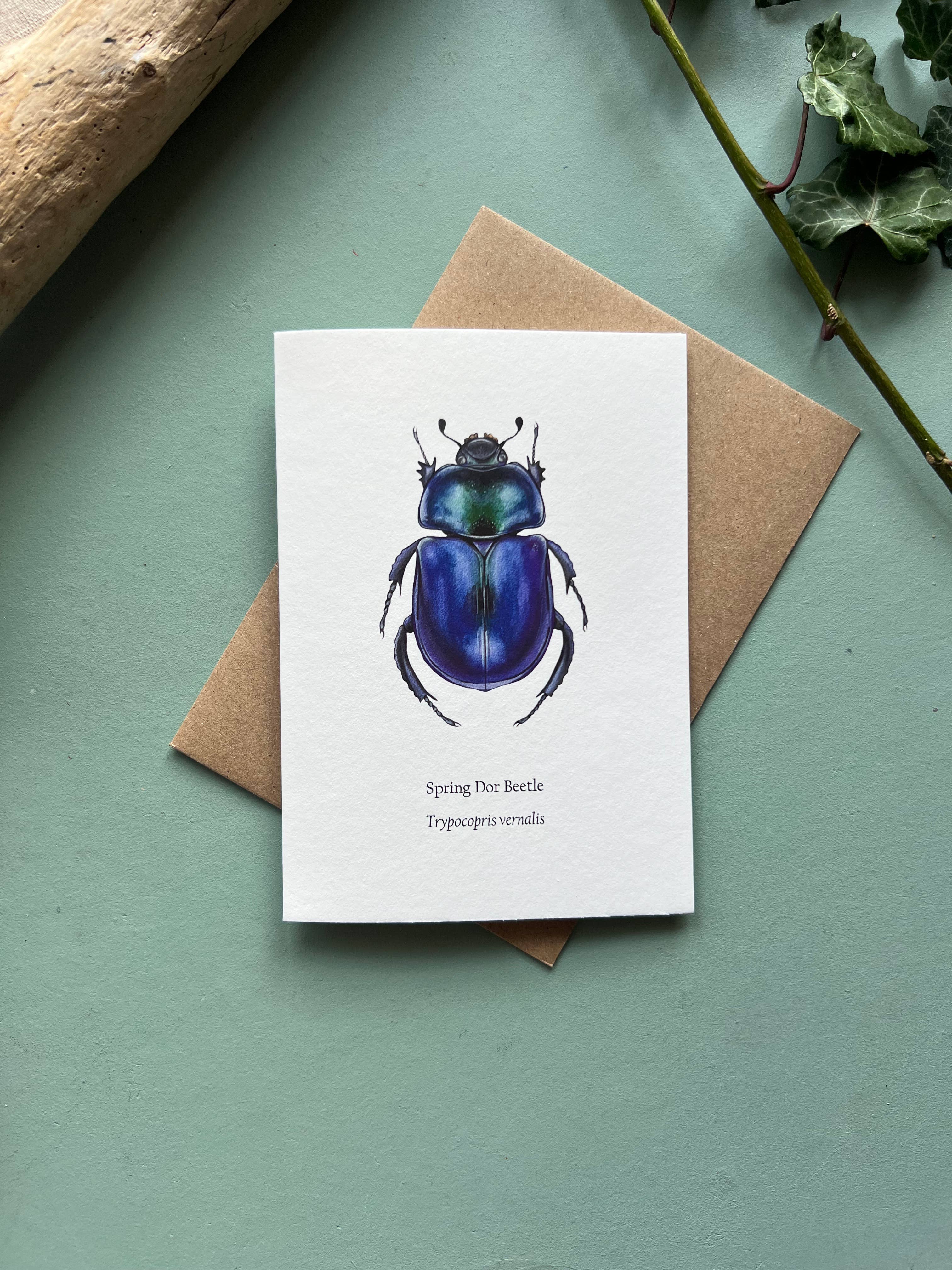 Tansy Moore - Wholesale Everyday Greeting Card - Spring Dor Beetle, Blank Greeting Card