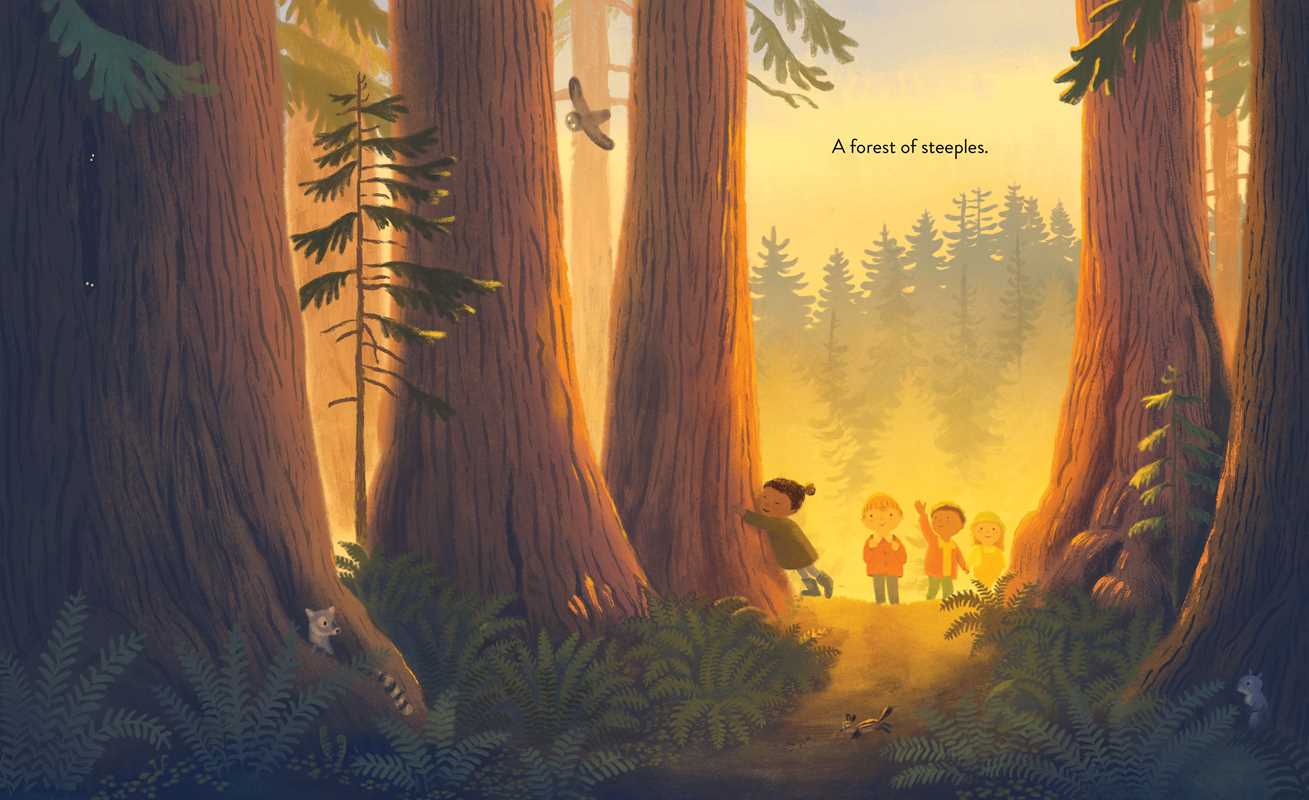 Simon & Schuster - Wholesale Preschool Book (3-5) - Everything Trail by Meg Fleming6