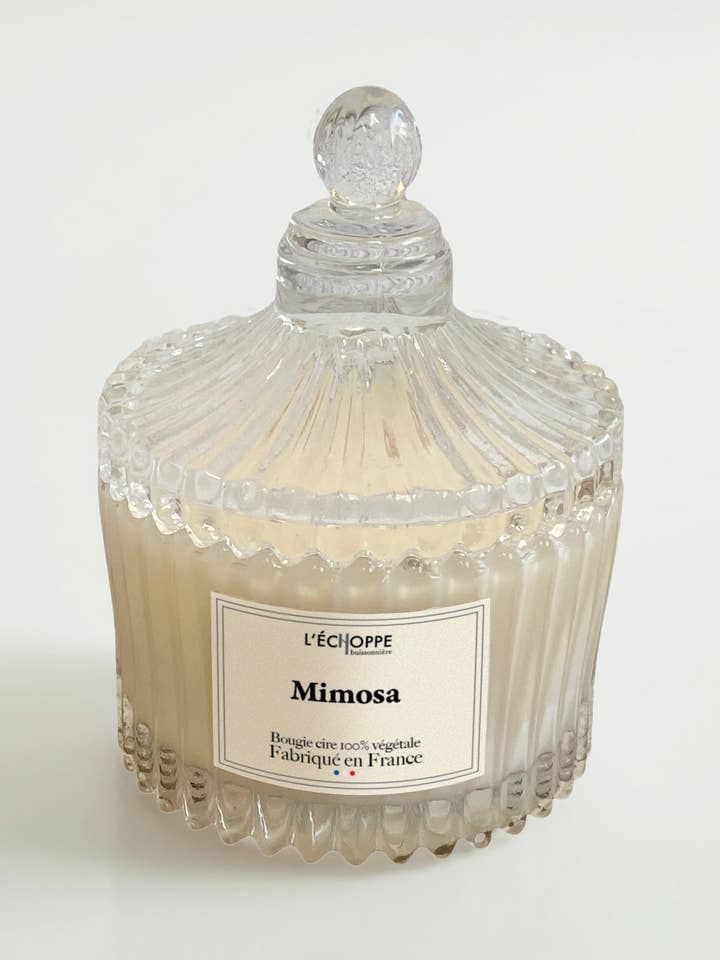 Mimosa - Scented candle 70g for wholesale by L'Échoppe Buissonnière
