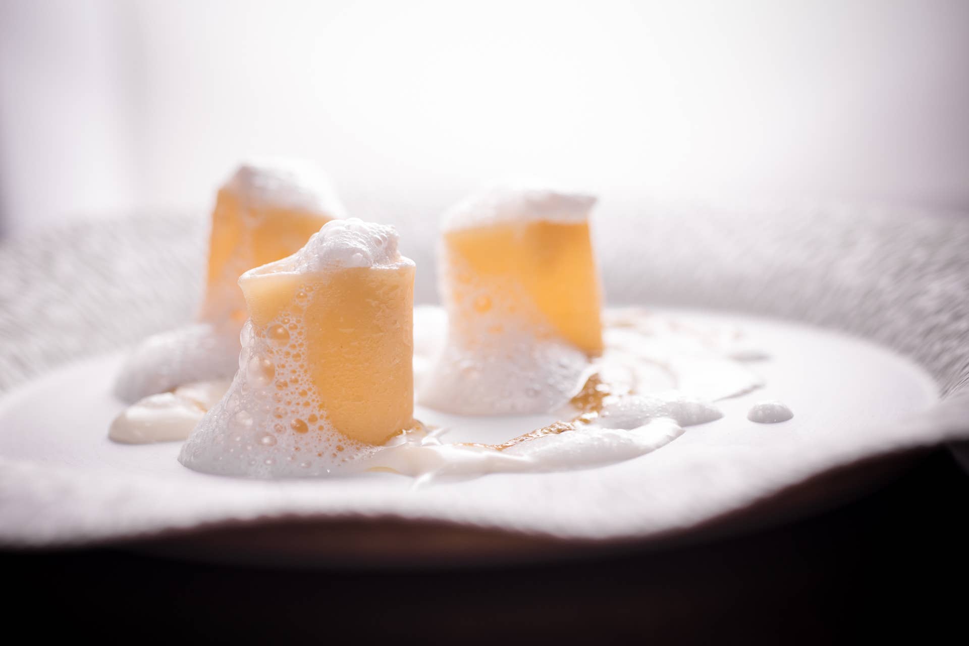 Pastificio dei Campi – Engroshandel Pasta – Pasta di Gragnano PGI - Mezzi Paccheri, 500 g, lavet i Italien3