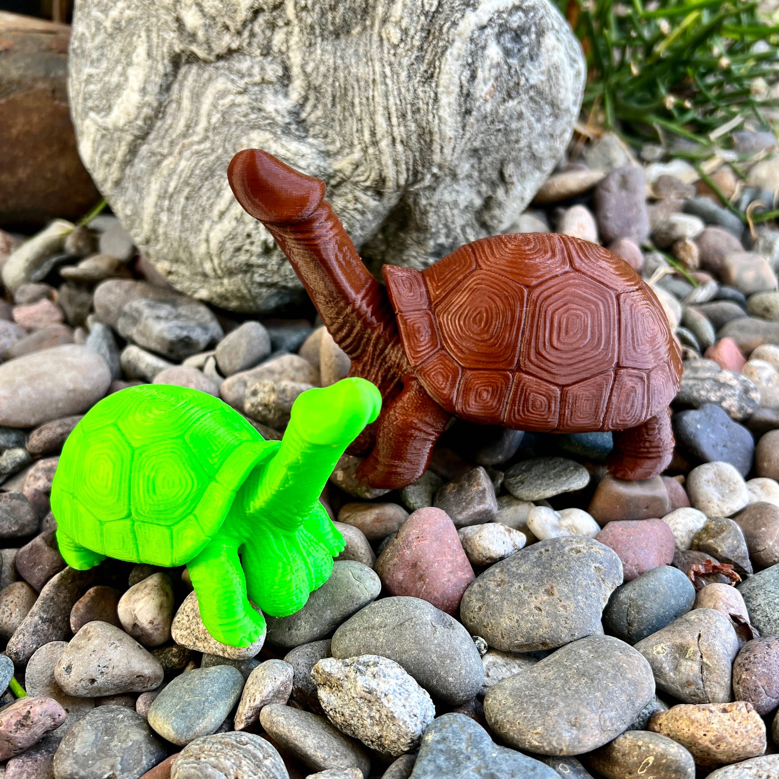 NumanPrints - Vendita all'ingrosso Regalo divertente/originale - Festa di addio al nubilato con la modella Dick Turtle Tortoise9