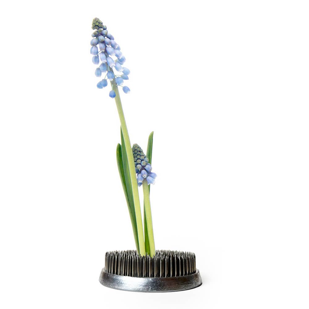 Chive - Wholesale Garden Tool - Kenzan Floral Frog for Vases Stainless Steel Flower Arranger8