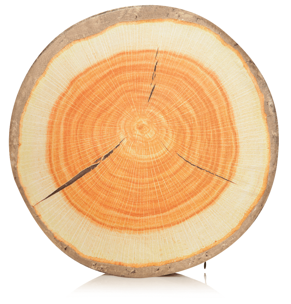 Husband Pillow - Vendita all'ingrosso Cuscini per letto - 360 - FETTA-REGISTRO-MAPL1