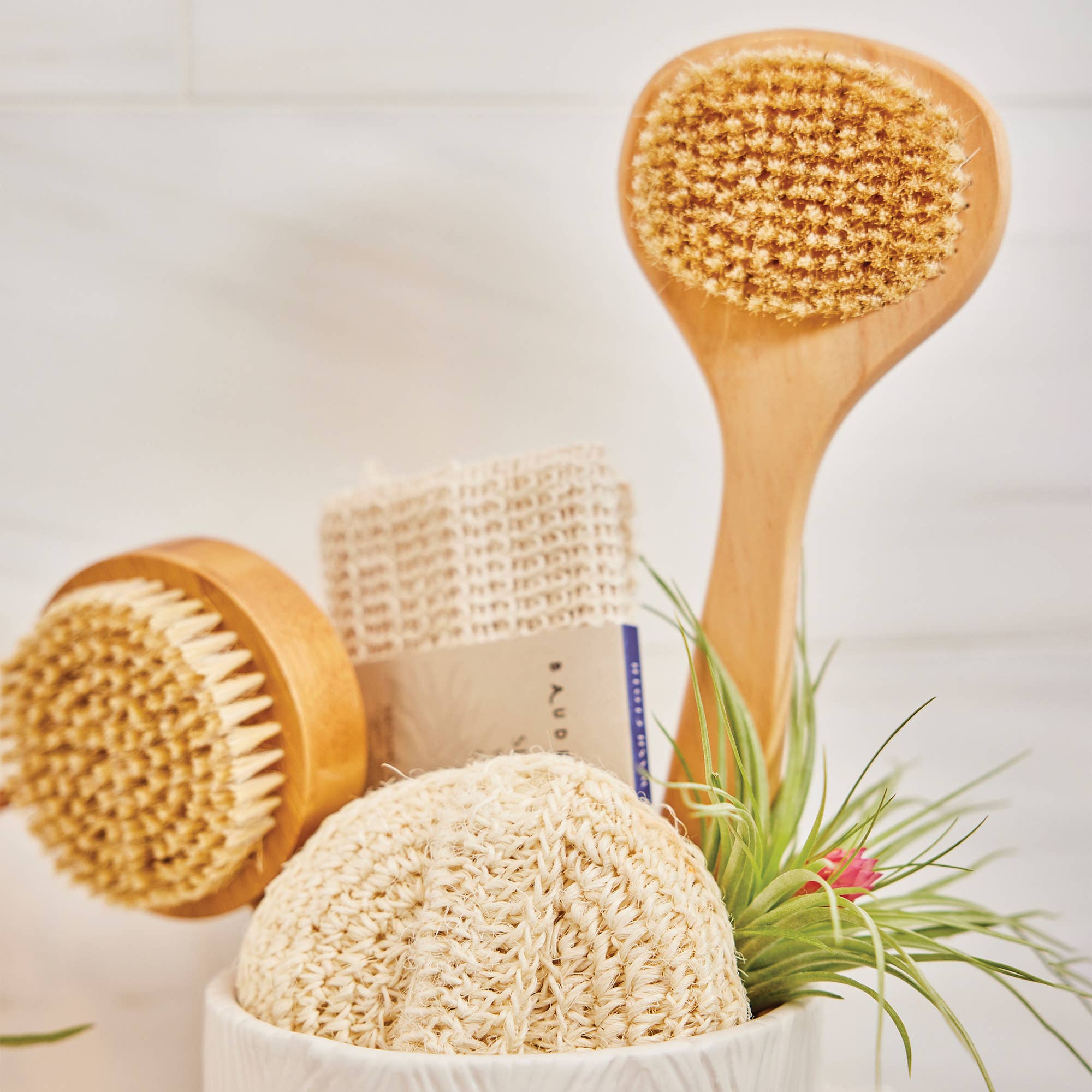 Baudelaire - Wholesale Body Brush - Cedar 10" Short-handle Bath Brush1