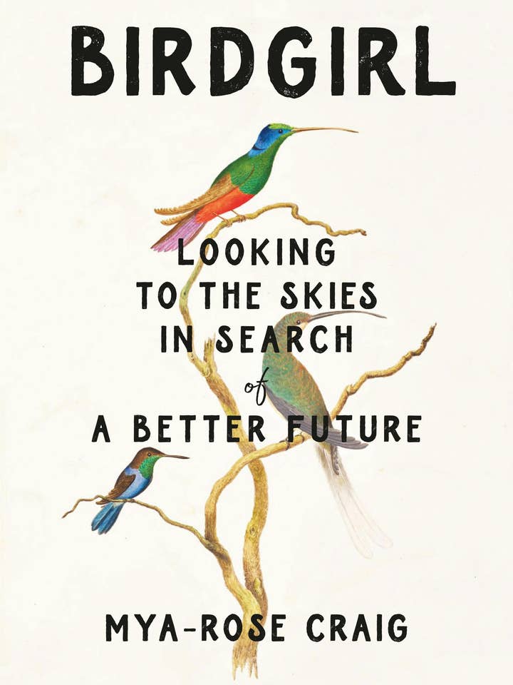 Birdgirl: Looking to The Skies In Search of A Better Future for wholesale by Macmillan Publishers