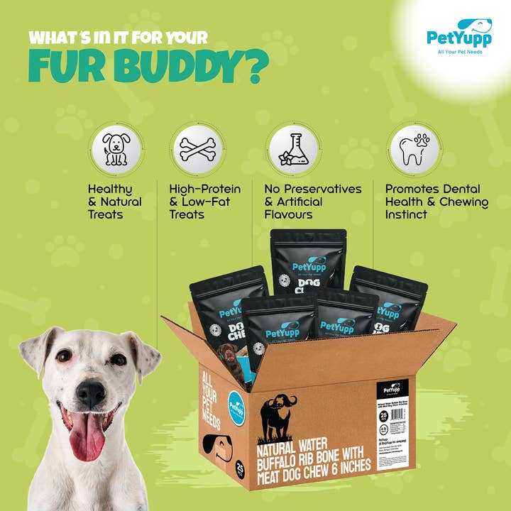PetYupp - Wholesale Pet Treats - Dog - Bulk Dog Treats - Rib Bone with Meat ( 6″ ) - Pack of 25 2