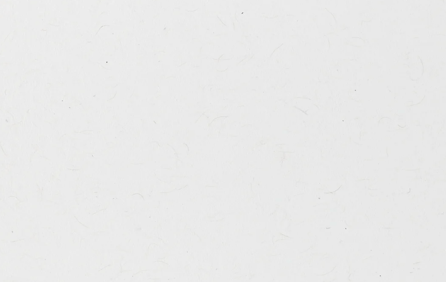 Farm and Finch Creative - Wholesale Everyday Greeting Card - American Kestrel Card3