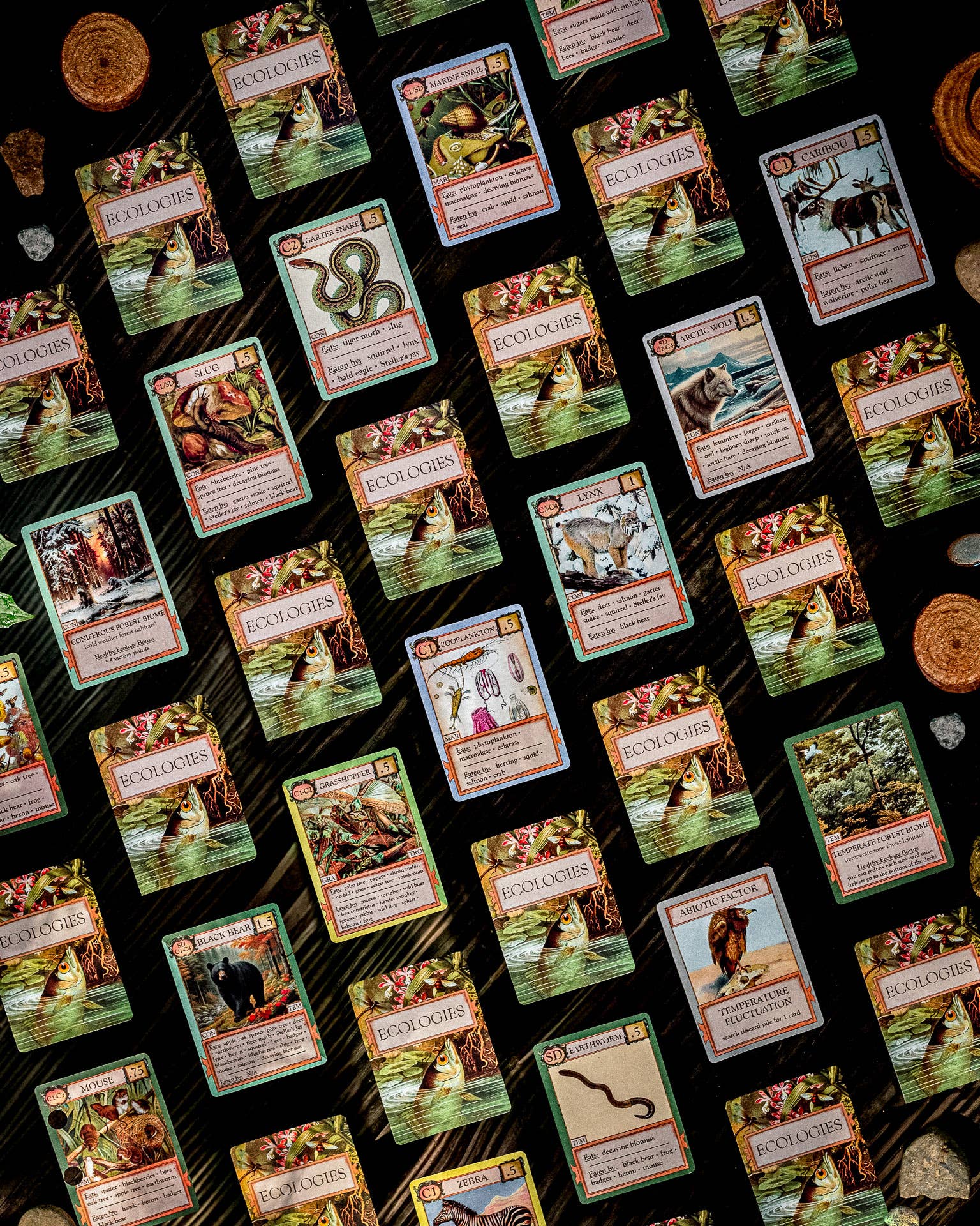 Montrose Biology - Wholesale Card Game - Ecologies Card Game4