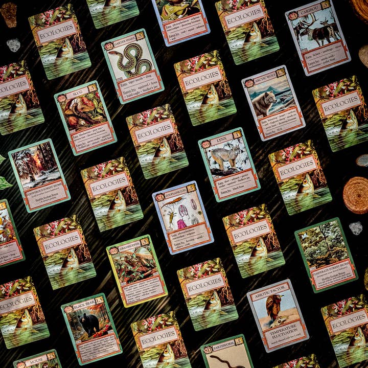 Montrose Biology - Wholesale Card Game - Ecologies Card Game4